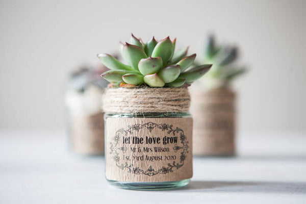 18 'Let The Love Grow' Favour Stickers