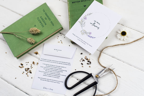 No Rain, No Flowers Single Personalised Lavender Seed Packet