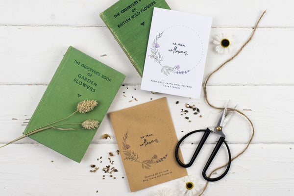 No Rain, No Flowers Single Personalised Lavender Seed Packet