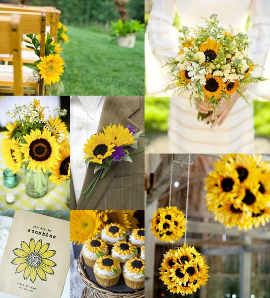 You Are My Sunshine
